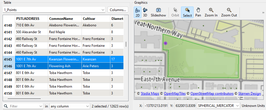 Two trees in one park